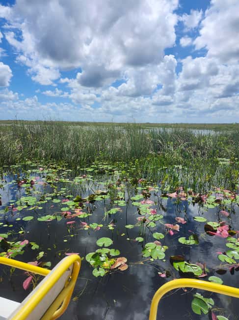 Everglades Eco Airboat Small-Group Tour & 2 Private Islands - The ride from Miami in a Suburban or Sprinter