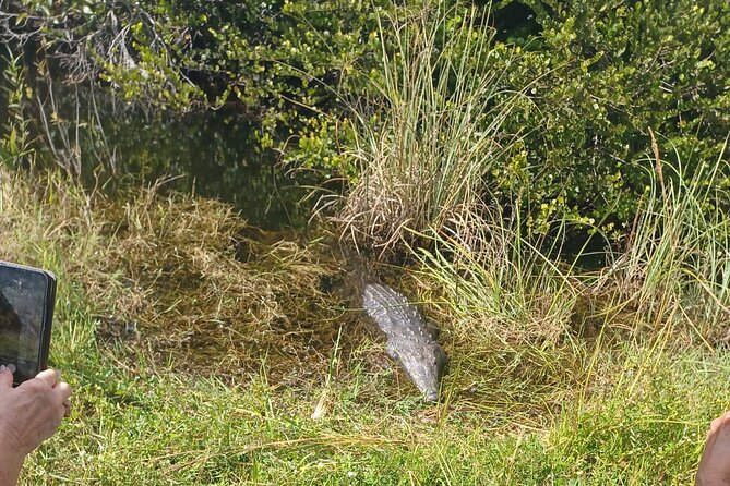 Everglades Eco Airboat Tour-Small Group & 2 Private Islands - Why the private islands matter