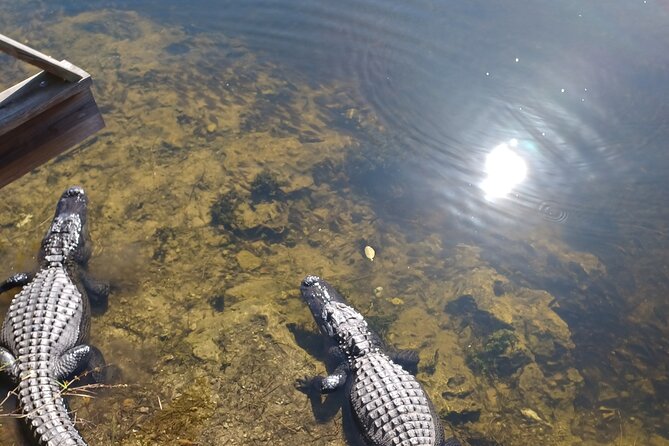 Everglades Eco Airboat Tour-Small Group & 2 Private Islands - Reaching the Miccosukee airboat base