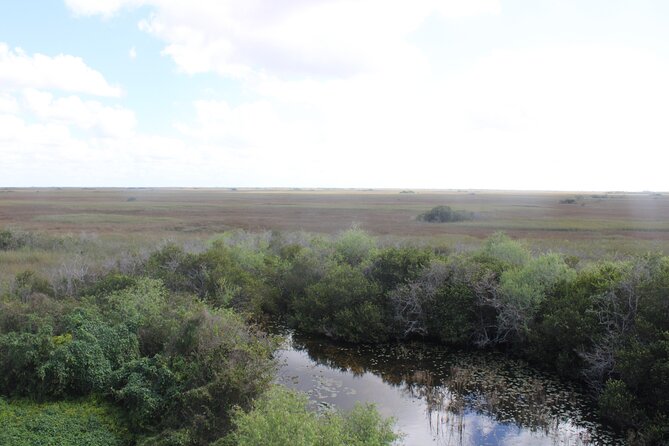 Everglades Eco Airboat Tour-Small Group & 2 Private Islands - The Miccosukee Indian Village Store