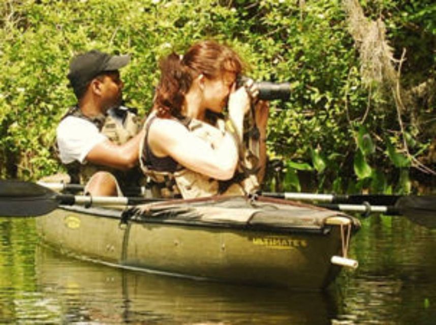 Everglades: Everglades Alligators and Orchids Kayak Eco Tour - Timing, Heat, and the Best Light