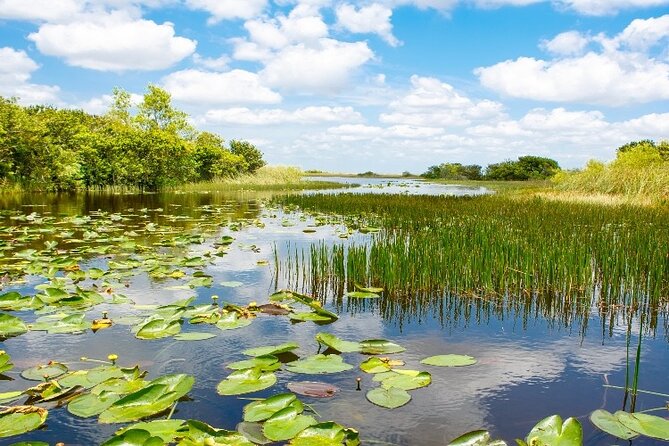 Everglades Express From Miami with Safari Airboat Ride - Is $140.43 good value?