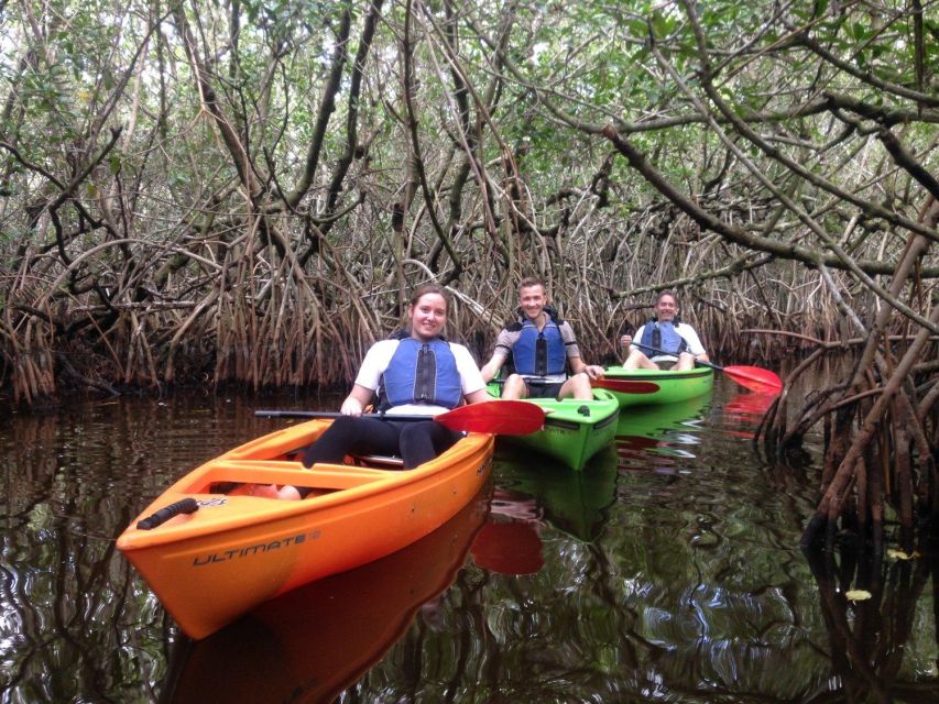 Everglades Kayak Safari Adventure Through Mangrove Tunnels - Wildlife watching along the river
