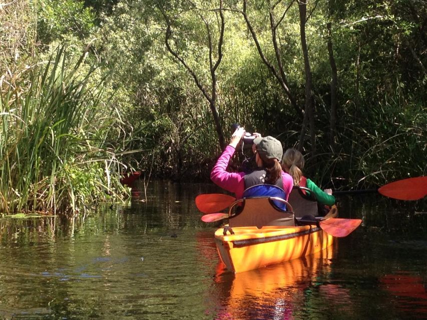 Everglades Kayak Safari Adventure Through Mangrove Tunnels - What the three-hour pace feels like