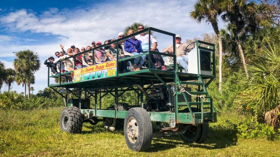 Everglades: Mangrove, Grassland Airboat Tours, & Boardwalk - Who will enjoy this outing most