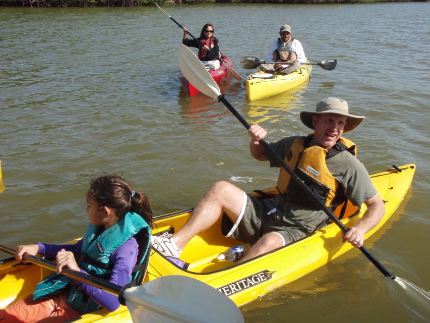 Everglades National Park 3-Hour Kayak Eco Tour - A three-hour route shaped by tide and wildlife