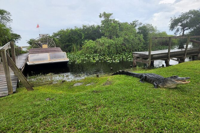Everglades National Park Biologist Led Adventure: Cruise, Hike + Airboat - Lunch in Chokoloskee with local choices