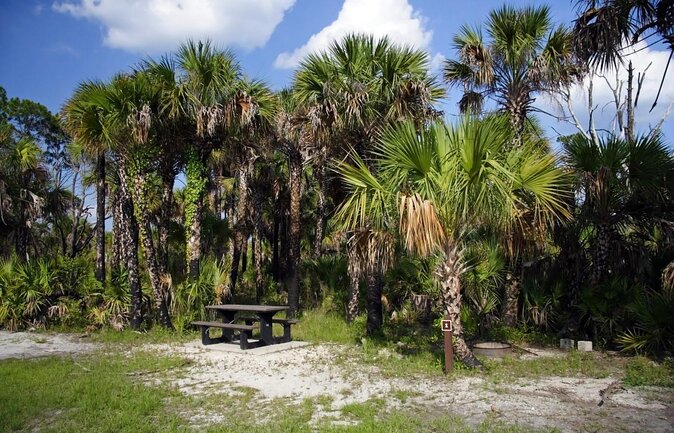 Everglades National Park Biologist Led Adventure: Cruise, Hike + Airboat - Airboat country and the River of Grass