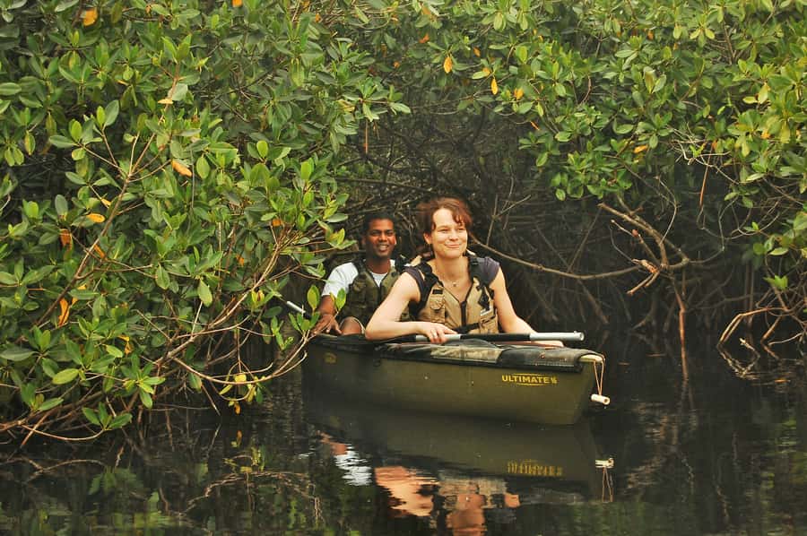 Everglades National Park: Mangrove Tunnel Kayak Eco-Tour - Key points to know before you book