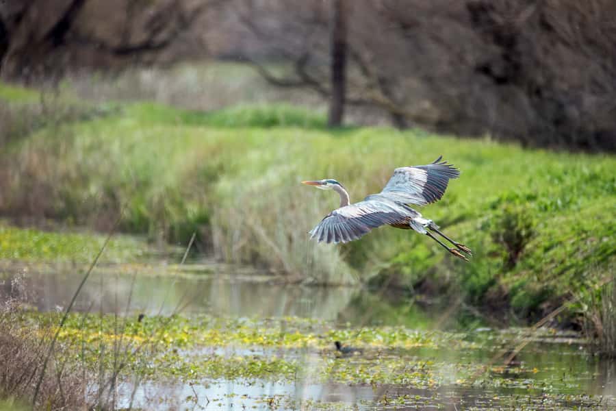 Everglades National Park: Mangrove Tunnel Kayak Eco-Tour - Heat, mosquitoes, and what to wear
