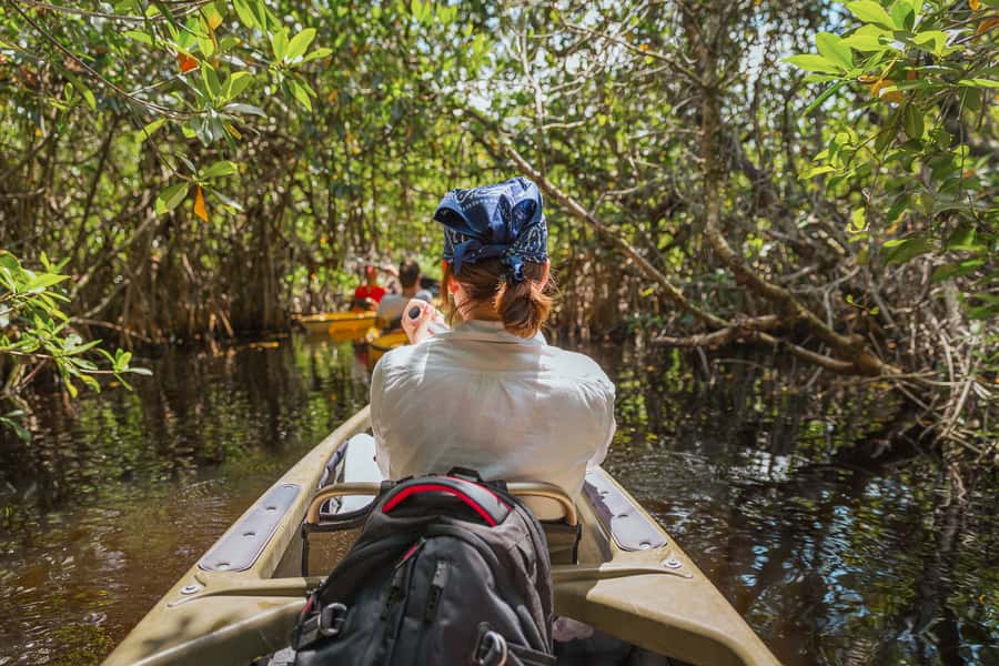 Everglades National Park: Mangrove Tunnel Kayak Eco-Tour - Starting at 32016 Tamiami Trail E