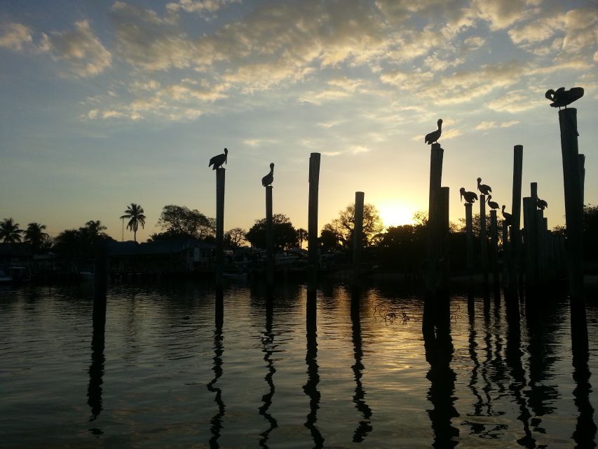 Everglades National Park: Motorboat Eco Tour - Key points at a glance
