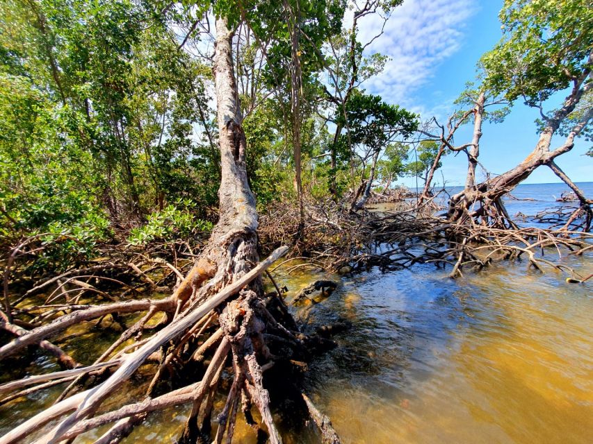 Everglades National Park: Motorboat Eco Tour - Who should book this Everglades boat trip?