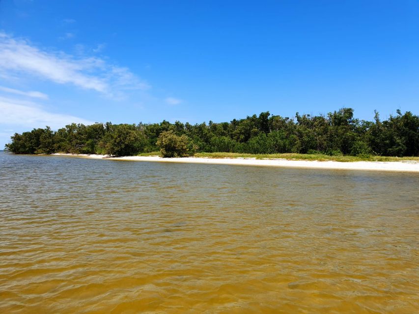 Everglades National Park: Motorboat Eco Tour - The small boat is both a strength and a limitation