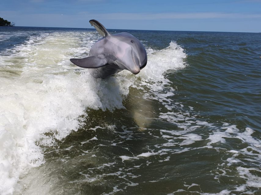 Everglades National Park: Motorboat Eco Tour - Is $173 per person good value?