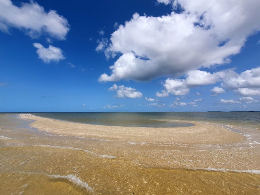 Everglades National Park: Motorboat Eco Tour - A three-hour route with two different moods