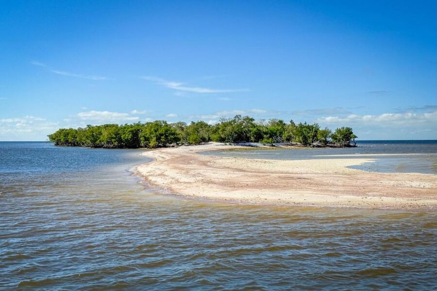 Everglades National Park: Pontoon Boat Tour & Boardwalk - What the $60 price really includes