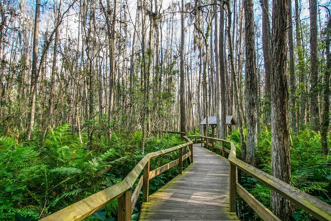 Everglades National Park: Self Guided Driving Audio Tour - What this self-guided Everglades tour actually does