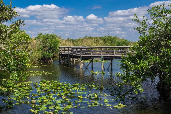 Everglades National Park: Self Guided Driving Audio Tour - Hardwood hammocks at Mahogany and Gumbo Limbo