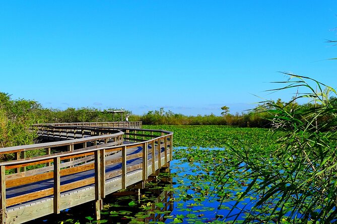 Everglades National Park: Self Guided Driving Audio Tour - Flamingo Visitor Center and Eco Pond