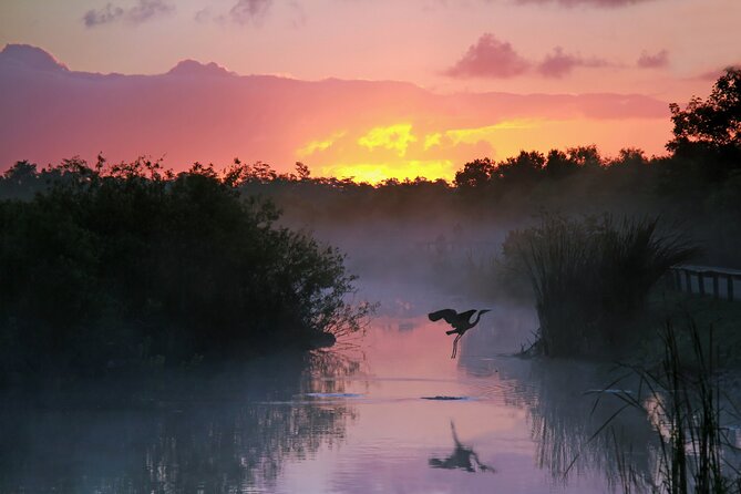 Everglades National Park: Self Guided Driving Audio Tour - Anhinga Trail and the first wildlife lesson
