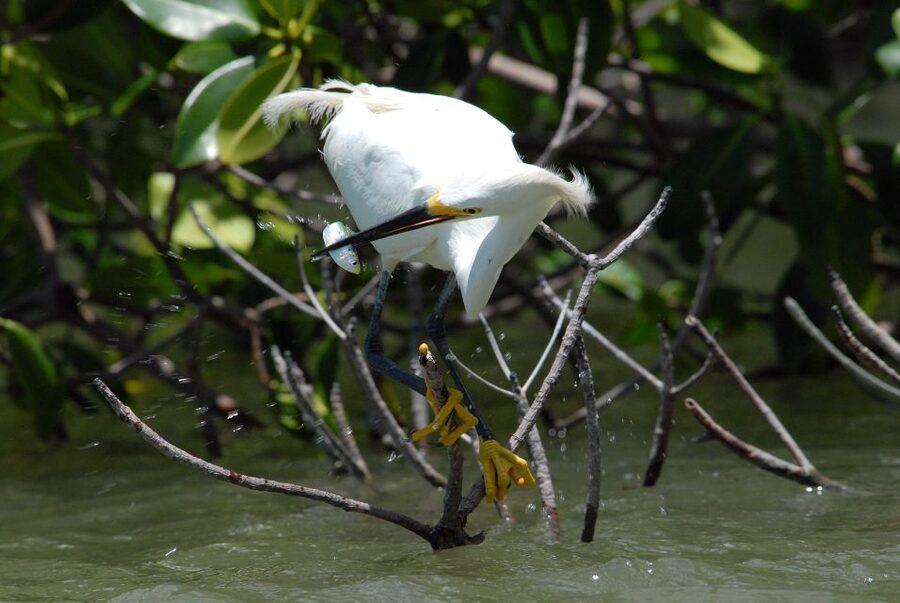 Everglades Private 2.5 Hour Photo and Birding Safari - Who should book this experience?