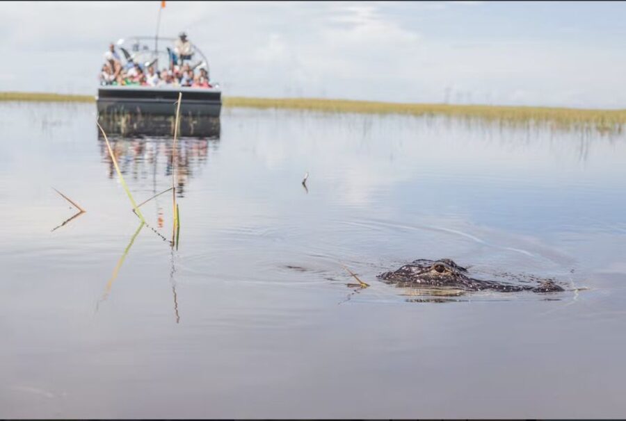 Everglades: Sawgrass Park Airboat Adventure Package - Choosing the right season and timing