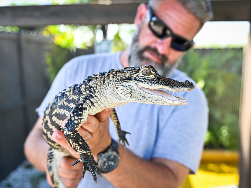 Everglades: Sawgrass Park Day Time Airboat Tour & Exhibits - Why the reptile exhibit improves the visit