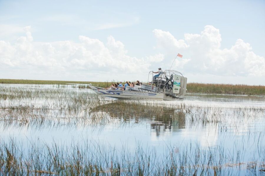 Everglades: Sawgrass Park Day Time Airboat Tour & Exhibits - What is included for $33