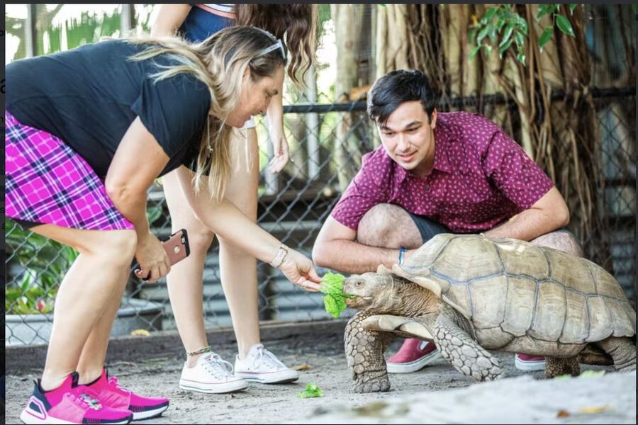 Everglades: Sawgrass Park Reptile Exhibit Private Tour - Meeting Cannibal, the 1,000-pound alligator