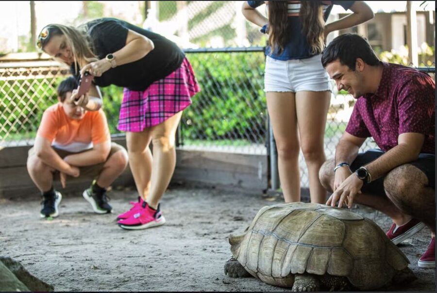 Everglades: Sawgrass Park Reptile Exhibit Private Tour - Who should book this Sawgrass reptile tour?