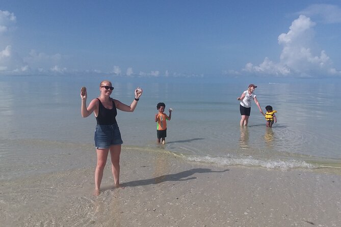 Everglades Small Group Guided Boating and Walking Expedition - Key points to know before booking