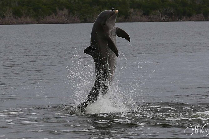 Everglades Small Group Guided Boating and Walking Expedition - Why the six-person limit matters