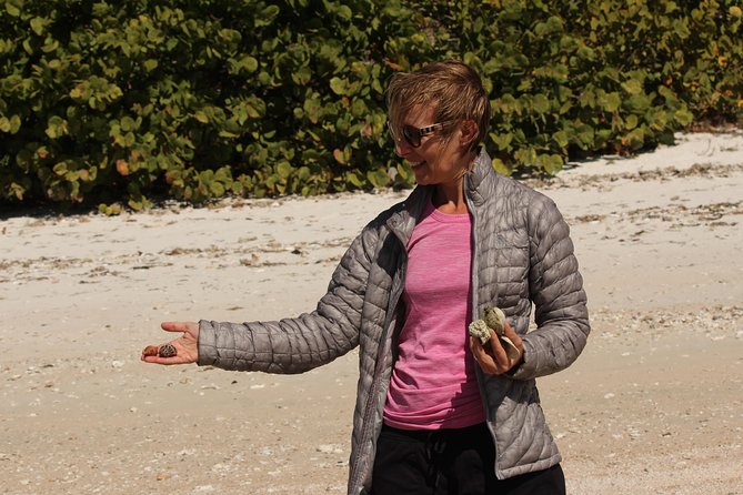 Everglades Small Group Guided Boating & Walking Tour Expedition - The short island walk