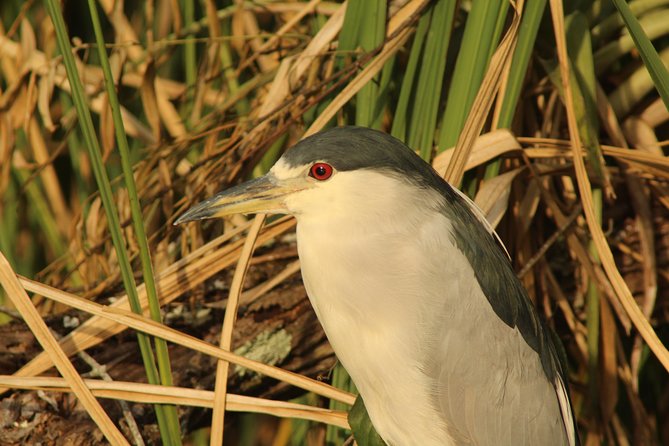 Everglades Small Group Guided Boating & Walking Tour Expedition - Who will enjoy this expedition most?