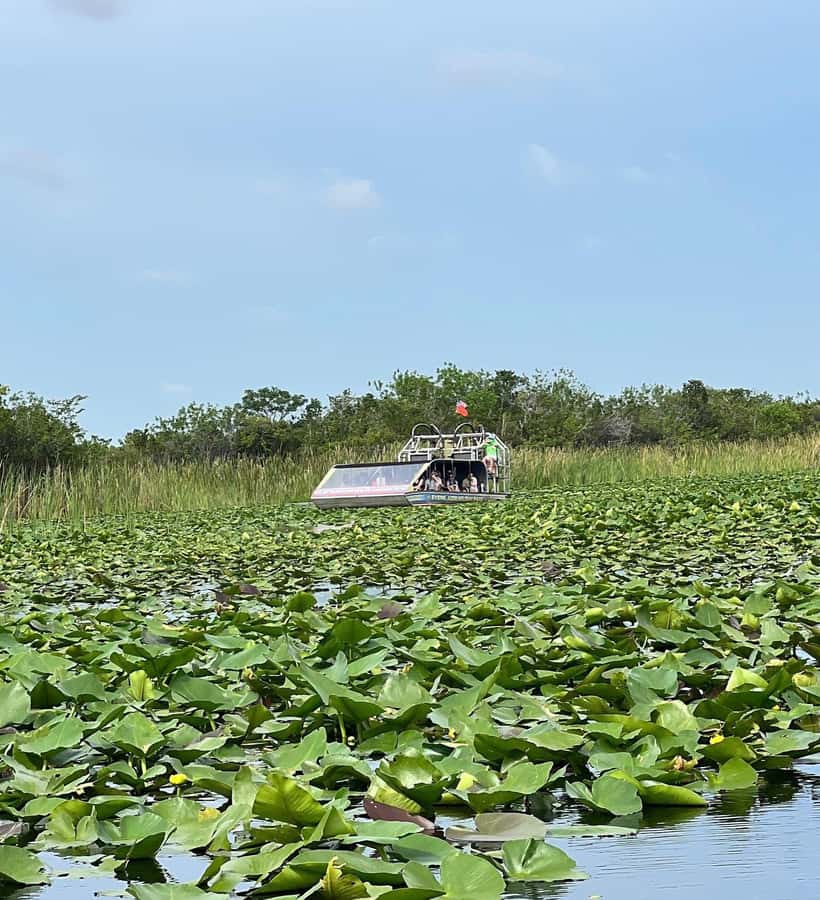 Everglades Small Group on Airboat with Transportation - The gift shop and return to Miami