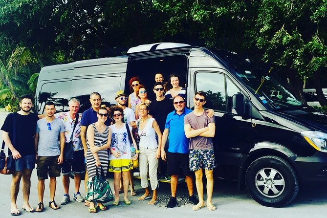 Everglades Small-Group Tour from Miami with Transportation - What to know before you book