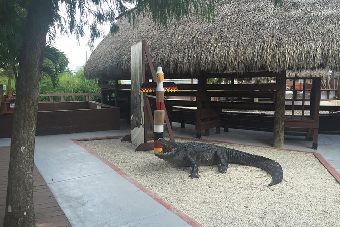 Everglades Small-Group Tour from Miami with Transportation - From Miami streets to sawgrass water