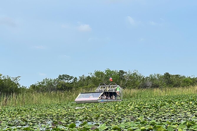 Everglades Small-Group Tour from Miami with Transportation - The rescued-alligator presentation