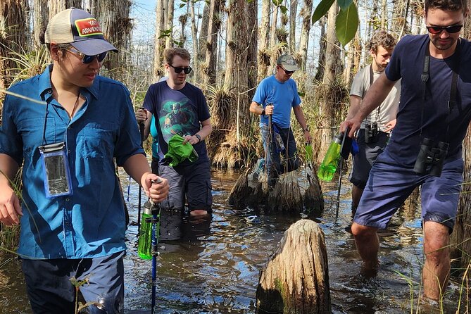 Everglades Tour w/ Biologist Led WET walk + 2 Boat Trips + Lunch! - Why this nine-hour Everglades tour is different