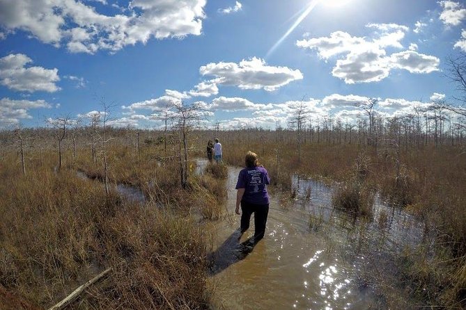 Everglades Tour w/ Biologist Led WET walk + 2 Boat Trips + Lunch! - Ochopee and the human story of the Everglades