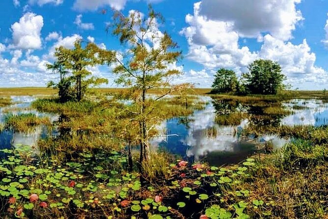 Everglades Tour w/ Biologist Led WET walk + 2 Boat Trips + Lunch! - Wading into Big Cypress National Preserve