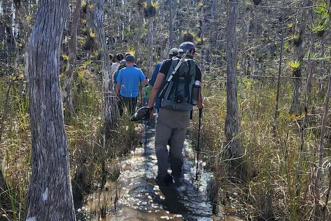 Everglades Tour w/ Biologist Led WET walk + 2 Boat Trips + Lunch! - Smallwood Store and the 10,000 Islands boat trip