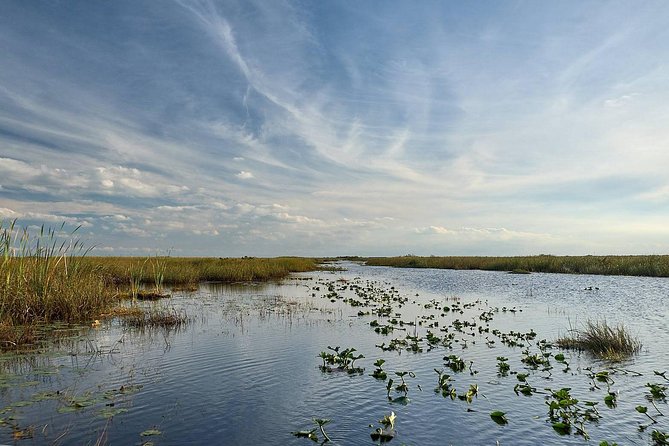 Everglades Tour w/ Biologist Led WET walk + 2 Boat Trips + Lunch! - The guide makes or breaks the day