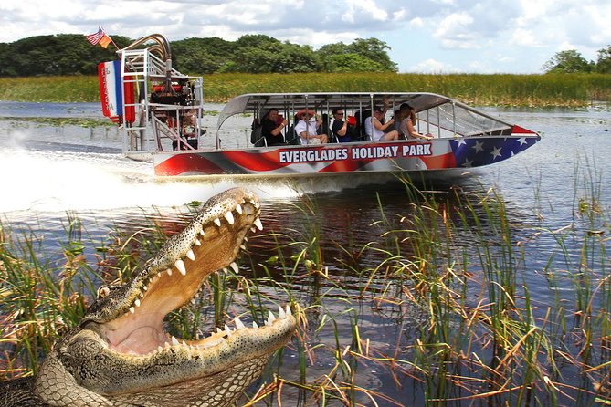 Everglades VIP Airboat Tour with Transportation Included - Weather, comfort, and what to bring