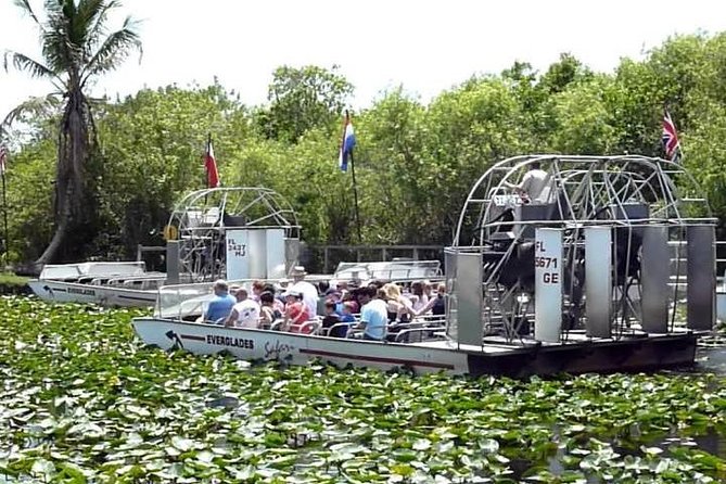 Everglades Wildlife Tour: Airboat & Alligator Habitat Experience - Bayside Marketplace gives the afternoon back to you