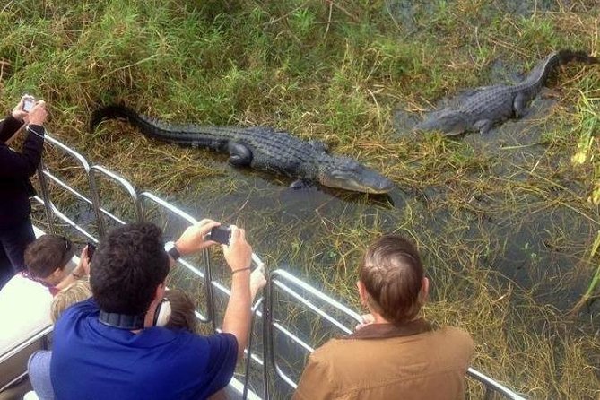 Everglades Wildlife Tour: Airboat & Alligator Habitat Experience - Who will enjoy this tour most