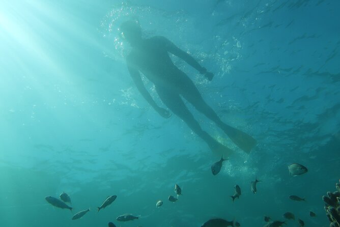Exclusively Private Snorkel Adventures Training & Tours Ultimate - Starting on Dry Land With the Gear