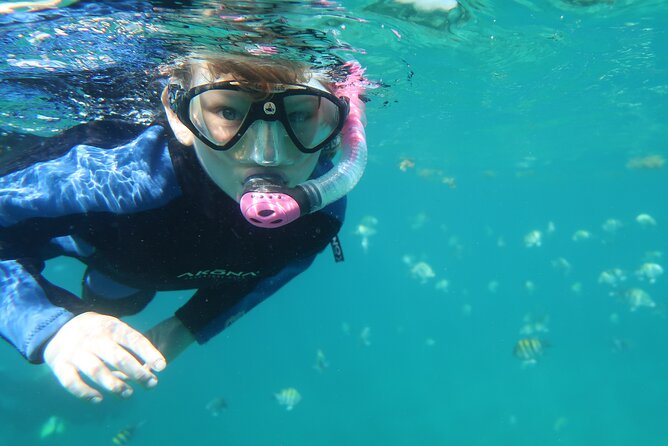 Exclusively Private Snorkel Adventures Training & Tours Ultimate - Why Strong Swimmers May Want Something Else
