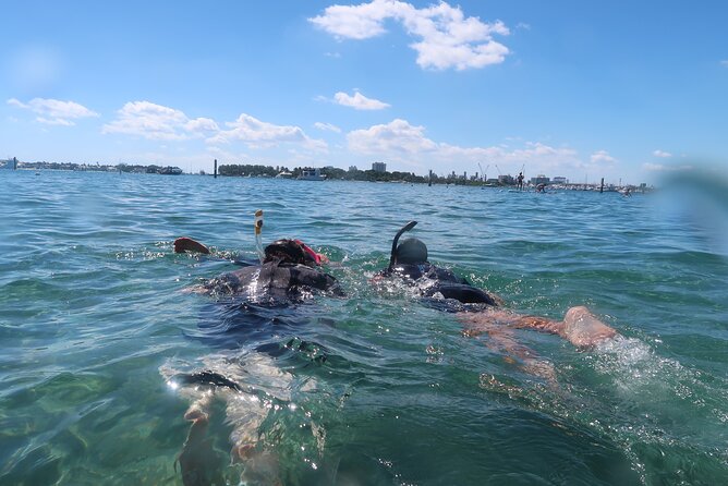 Exclusively Private Snorkel Adventures Training & Tours Ultimate - Meeting Laura in Lauderdale-By-The-Sea